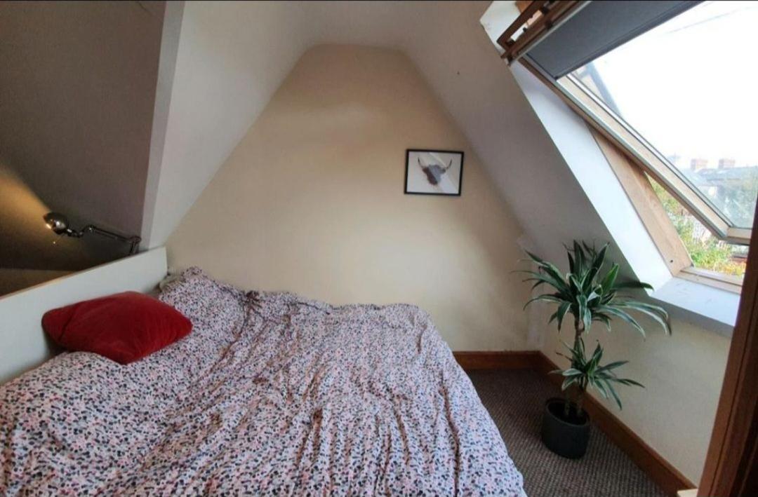 Cute D3 Cottage Dublino Esterno foto